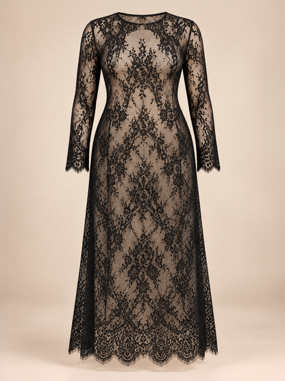 Midnight Elegance Plus Size Lace Overlay